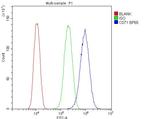 Transferrin Receptor Antibody in Flow Cytometry (Flow)