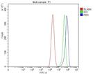 PIN1 Antibody in Flow Cytometry (Flow)