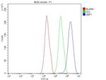 XBP1 Antibody in Flow Cytometry (Flow)