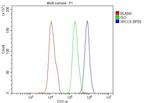 Ku80 Antibody in Flow Cytometry (Flow)