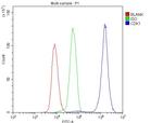 CDK1 Antibody in Flow Cytometry (Flow)