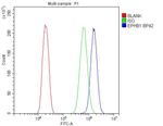 EphB1 Antibody in Flow Cytometry (Flow)