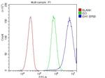 IDH1 Antibody in Flow Cytometry (Flow)