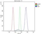 IKAROS Antibody in Flow Cytometry (Flow)