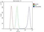 ITGA4 Antibody in Flow Cytometry (Flow)