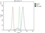 OGT Antibody in Flow Cytometry (Flow)