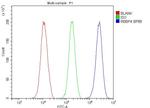 RbAp48 Antibody in Flow Cytometry (Flow)