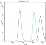 Bcl-X Antibody in Flow Cytometry (Flow)