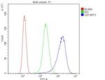 Catalase Antibody in Flow Cytometry (Flow)