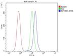 ACVR2A Antibody in Flow Cytometry (Flow)