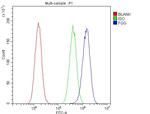 Fibrinogen gamma Antibody in Flow Cytometry (Flow)