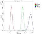 Cytokeratin 18 Antibody in Flow Cytometry (Flow)