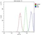 beta-2 Microglobulin Antibody in Flow Cytometry (Flow)