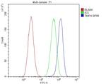 TIMP4 Antibody in Flow Cytometry (Flow)