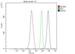 DDX3 Antibody in Flow Cytometry (Flow)