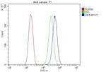 DDT Antibody in Flow Cytometry (Flow)