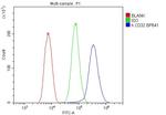 FCGR2A Antibody in Flow Cytometry (Flow)