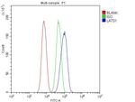 LATS1 Antibody in Flow Cytometry (Flow)