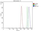 METTL3 Antibody in Flow Cytometry (Flow)