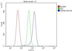 TRPM7 Antibody in Flow Cytometry (Flow)