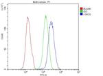 MOG Antibody in Flow Cytometry (Flow)