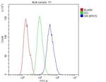 Sorcin Antibody in Flow Cytometry (Flow)