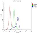 BAG6 Antibody in Flow Cytometry (Flow)