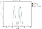 IQGAP1 Antibody in Flow Cytometry (Flow)