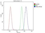 RMI2 Antibody in Flow Cytometry (Flow)