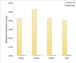 Histone H3.1t Antibody in ChIP Assay (ChIP)