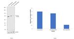 PKC delta Antibody