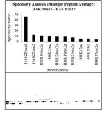 H4K20me1 Antibody in Peptide array (Array)