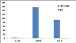 Histone H3 Antibody in ChIP Assay (ChIP)