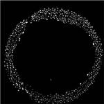 Histone H3 Antibody in Immunohistochemistry (IHC)