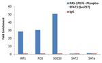 Phospho-STAT3 (Ser727) Antibody