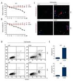 Caspase 9 (Cleaved Asp315) Antibody in Immunocytochemistry (ICC/IF)