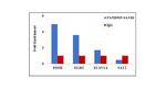 SATB1 Antibody in ChIP Assay (ChIP)