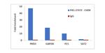 CHD4 Antibody in ChIP Assay (ChIP)