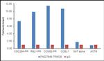 TRIM28 Antibody in ChIP Assay (ChIP)