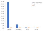 PBX1 Antibody in ChIP Assay (ChIP)