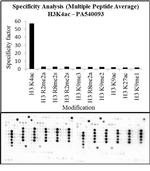 H3K4ac Antibody in Peptide array (Array)