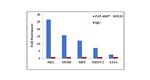 SOX10 Antibody in ChIP Assay (ChIP)