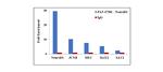 NeuroD1 Antibody in ChIP Assay (ChIP)