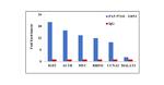 XRN1 Antibody in RNA Immunoprecipitation (RIP)