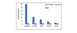 NeuroD1 Antibody in ChIP Assay (ChIP)