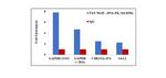 Phospho-DNA-PK (Ser2056) Antibody in ChIP Assay (ChIP)