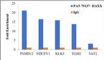 DAXX Antibody in ChIP Assay (ChIP)