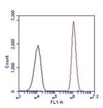 PAX5 Antibody in Flow Cytometry (Flow)