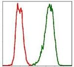 PBK Antibody in Flow Cytometry (Flow)