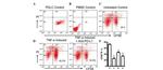 CD274 (PD-L1, B7-H1) Antibody in Flow Cytometry (Flow)